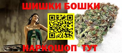 индика Северобайкальск