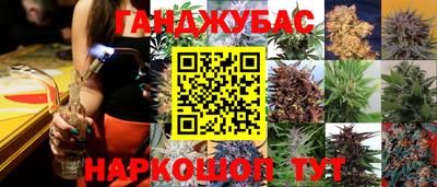 индика Северобайкальск