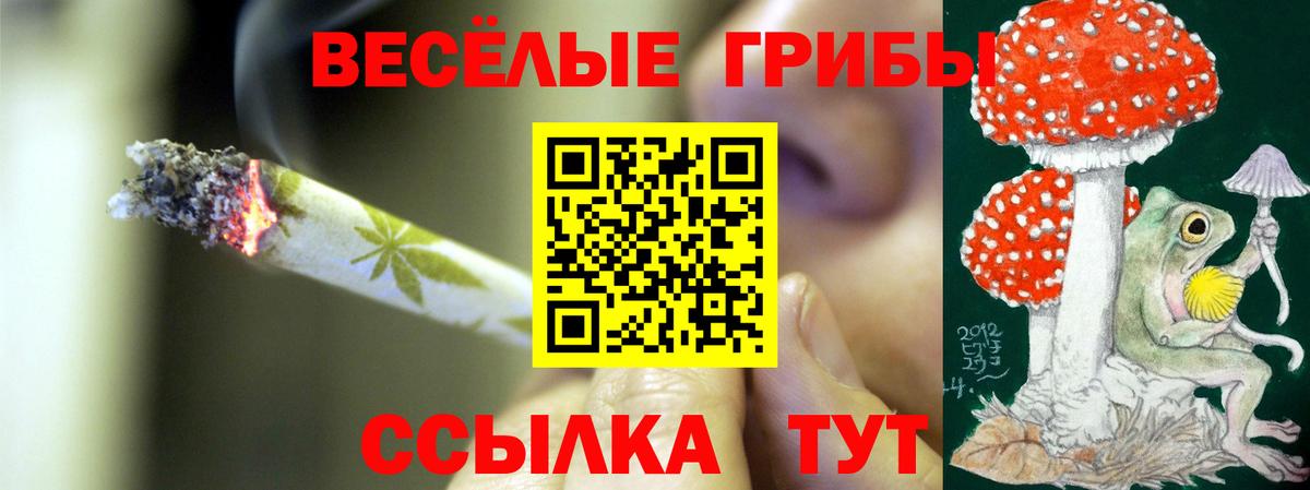 Галлюциногенные грибы мицелий  Вход с VPN  Псилоцибиновые грибы MAGIC MUSHROOMS  Рассказово 